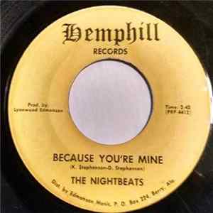 The Nightbeats - Strategy FLAC