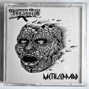 Meth Leppard / Minimum Wage Assassins - Split (2018) FLAC