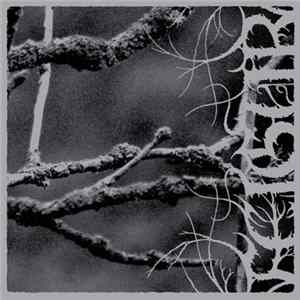 Feigur - II, Desolation FLAC