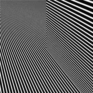 Fabric - Curiosity Model EP FLAC