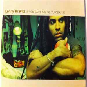 Lenny Kravitz - If You Can Say No FLAC