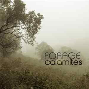 Forage - Calamites FLAC