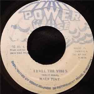 Half Pint - Level The Vibes FLAC