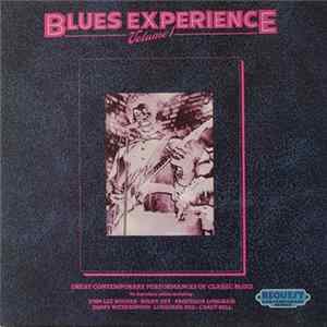 Various - Blues Experience Volume 1 FLAC
