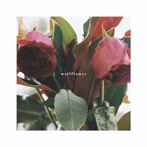 Recovery Room - Wallflower FLAC