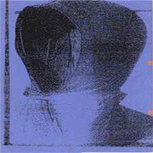 Consumer Destiny - S/T FLAC