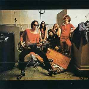 The Flamin' Groovies - Teenage Head FLAC