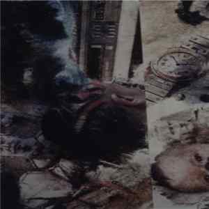 Das Konzentrat / Technostria - Split / Kommunikation FLAC