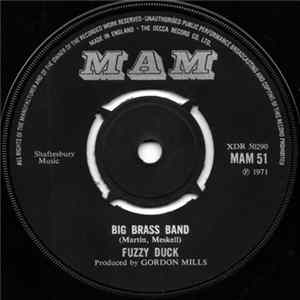 Fuzzy Duck - Big Brass Band FLAC