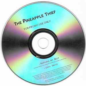 The Pineapple Thief - Nothing At Best FLAC