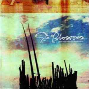 Gin Blossoms - Just South Of Nowhere FLAC