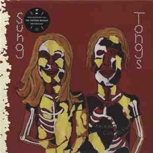Animal Collective - Sung Tongs FLAC