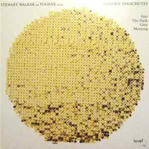 Stewart Walker And Touane Present Golden Parachutes - Into The Dark Grey Morning FLAC