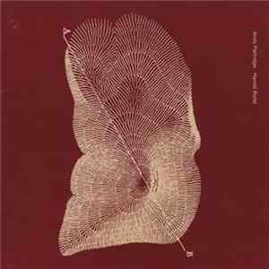 Andy Partridge - Harold Budd - Through The Hill FLAC