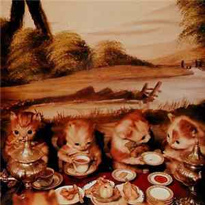 Piano Magic - Low Birth Weight FLAC