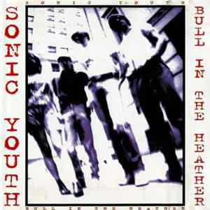 Sonic Youth - Bull In The Heather FLAC