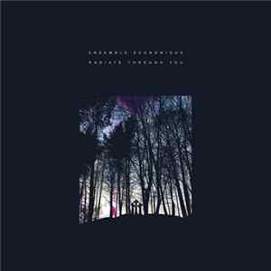 Ensemble Economique - Radiate Through You FLAC