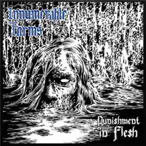 Innumerable Forms - Punishment In Flesh FLAC