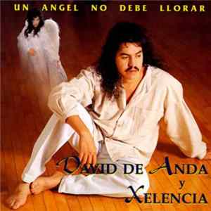 David De Anda Y Xelencia - Un Angel No Debe Llorar FLAC