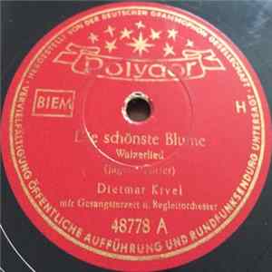 Dietmar Kivel - Die Schönste Blume / Kleine Winzerin Vom Rhein FLAC