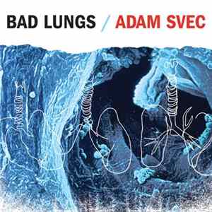 Adam Svec - Bad Lungs FLAC