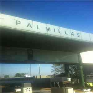 Derek Baron - Palmillas FLAC