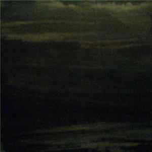AM - Swimming In Grey FLAC