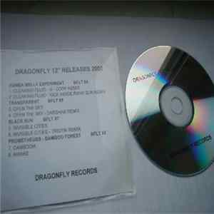Various - Dragonfly 12" Releases 2002 FLAC