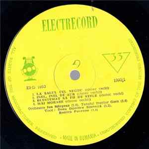 Various - La Șalul Cel Negru FLAC