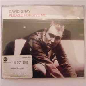 David Gray - Please Forgive Me FLAC