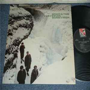 Echo & The Bunnymen - Porcupine FLAC