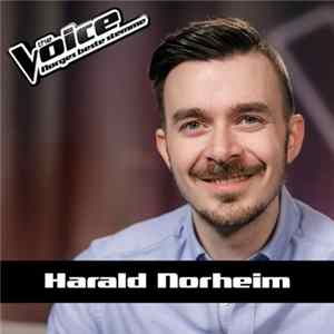 Harald Norheim - Don't You Worry Child FLAC