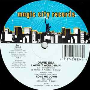 David Sea - I Wish It Would Rain FLAC