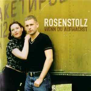 Rosenstolz - Wenn Du Aufwachst FLAC