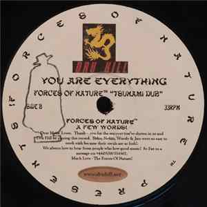Forces Of Nature Presents Dru Hill - You Are Everything FLAC