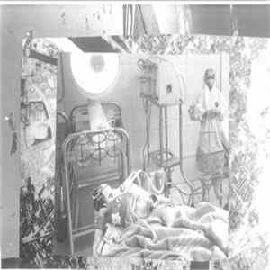 Botfly - Host/Lunacy FLAC