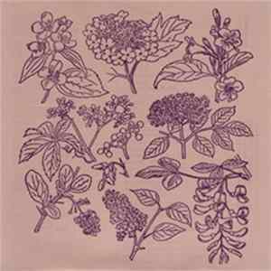 Peter Fengler - Vegetarians FLAC
