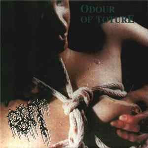 Gut - Odour Of Torture FLAC