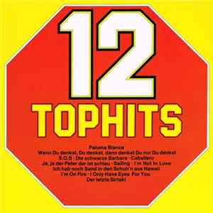Unknown Artist - 12 Tophits FLAC