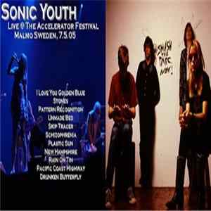 Sonic Youth - Live At Malmö Folkets Park FLAC