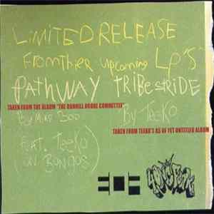 Mike Boo / Teeko - Pathway / Tribe Stride FLAC