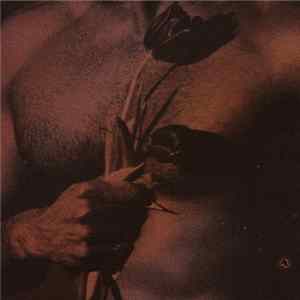 Various - AON001 FLAC