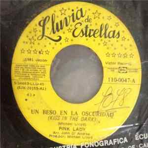 Pink Lady - Un Beso En La Oscuridad (Kiss In The Dark) / Amame Esta Noche (Love Me Tonight) FLAC