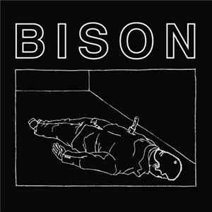 Bison - One Thousand Needles FLAC