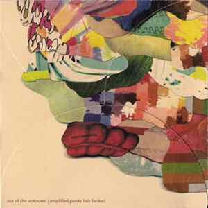 Out Of The Unknown - Amplified Punks Hair Funked FLAC