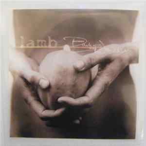 Lamb - Between Darkness And Wonder FLAC