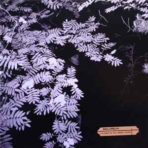 Dolorean - Violence In The Snowy Fields FLAC