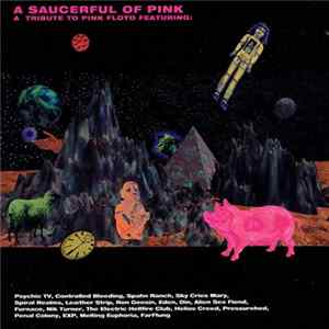 Various - A Saucerful Of Pink - A Tribute To Pink Floyd FLAC