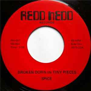 Spice - Broken Down In Tiny Pieces / Save It For A Rainy Day FLAC