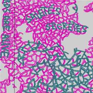 Birds Are Alive - Saletés Sécrètes FLAC